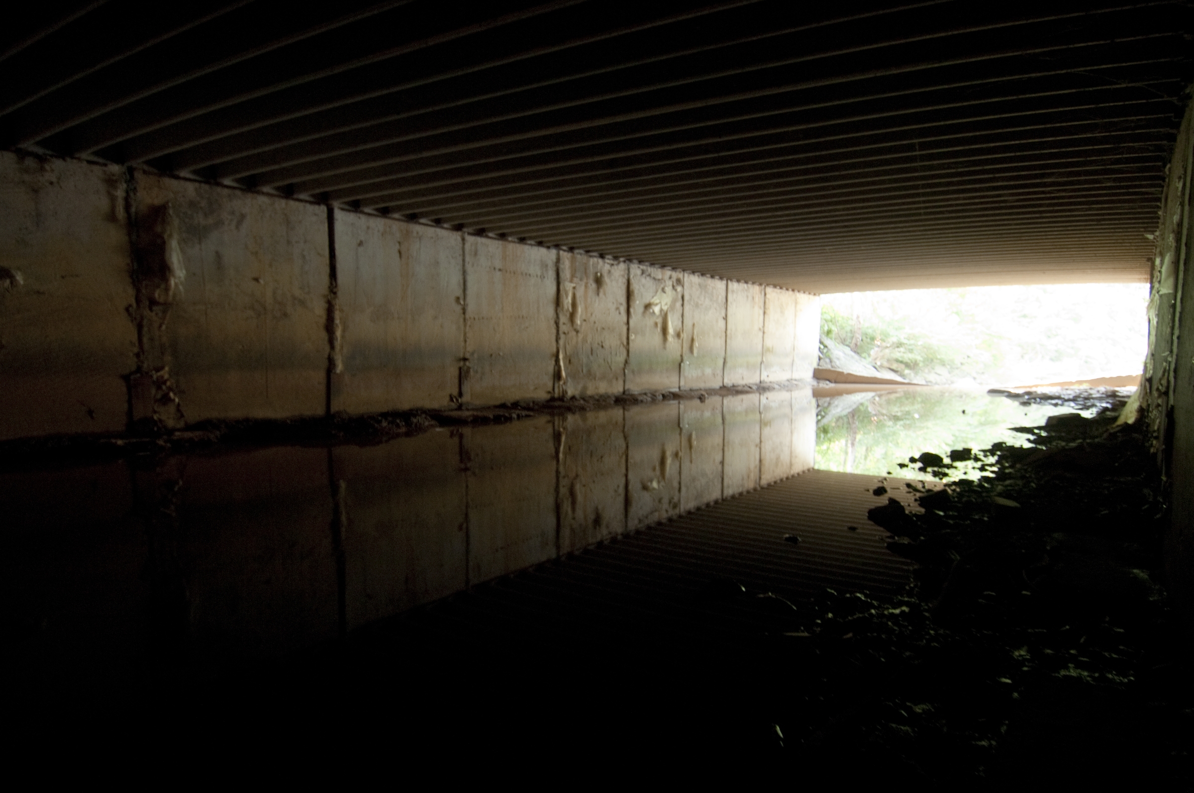 As late as 2007, Little Sugar Creek near Kings Drive was covered in concrete. Photo: Nancy Pierce