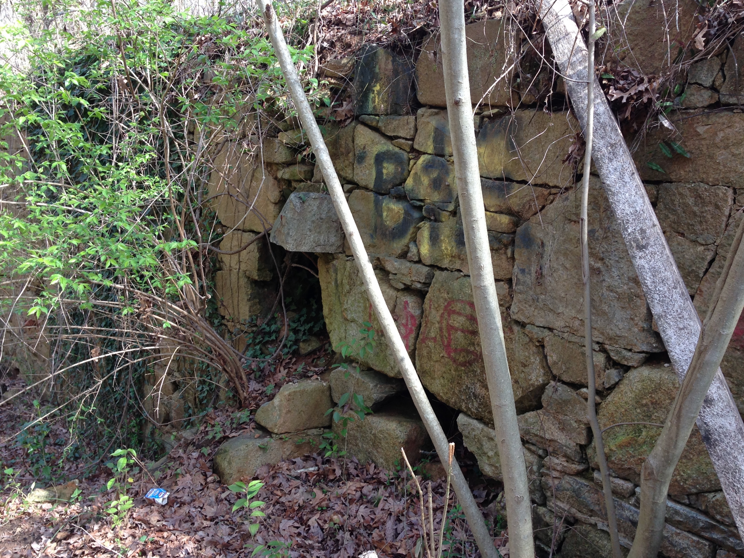 A few rock walls, the foundations, are all that remain of a mill built in the 1850s near Briar Creek. Photo: Mary Newsom