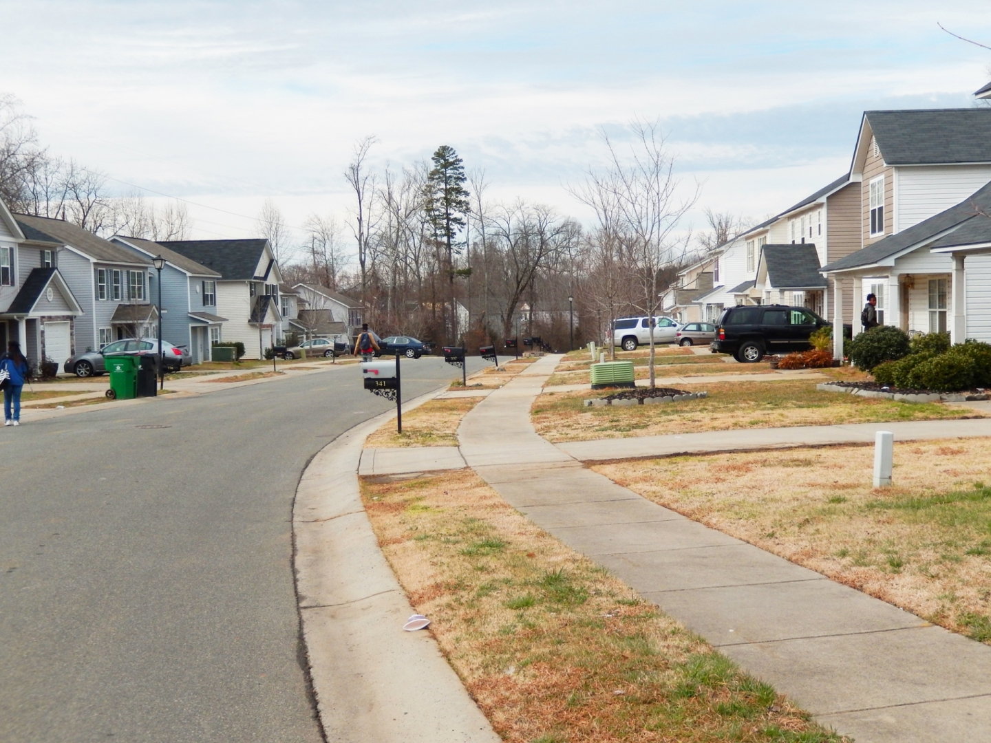 Many subdivisions built in the past 15 years did not plant street trees. Photo: Mae Israel