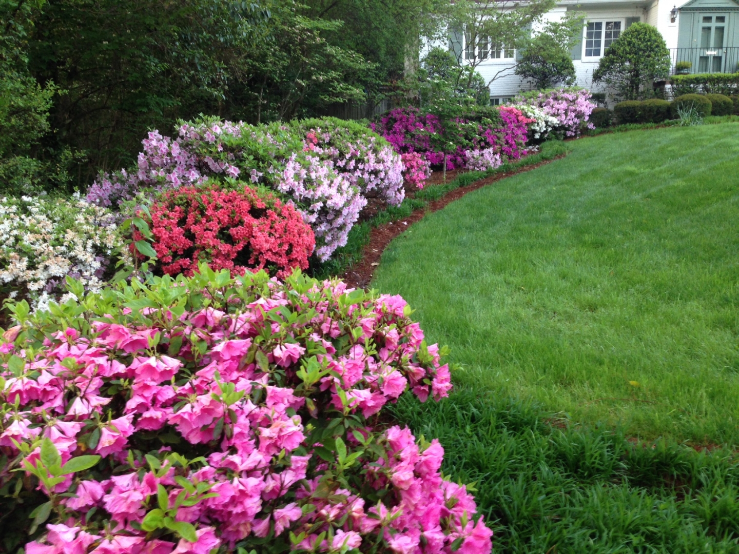 Lawns can be beautiful, but they make for poor habitat. Photo Mary Newsom